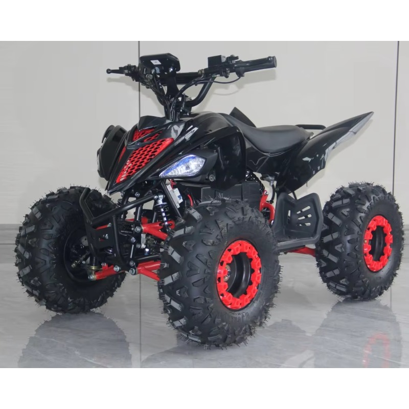 ATV Elettrico per Bambini 48V  - Kids Outdoor Electric Quad recensione e prezzo
